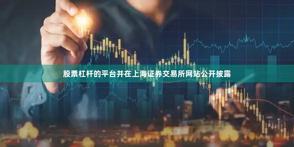股票杠杆的平台并在上海证券交易所网站公开披露