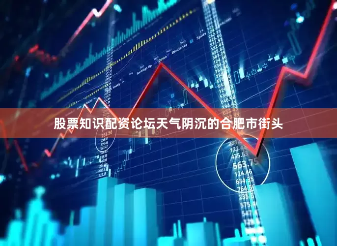 股票知识配资论坛天气阴沉的合肥市街头